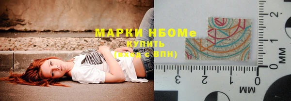 шишки Коряжма