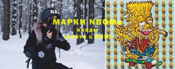 хмурый Корсаков