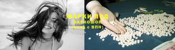 хмурый Корсаков