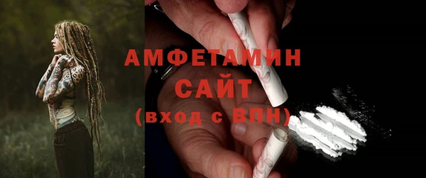 шишки Коряжма