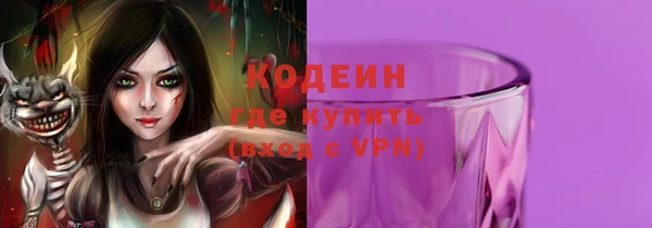 шишки Коряжма