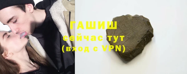 шишки Коряжма