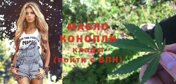 шишки Коряжма