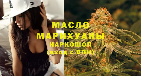шишки Коряжма