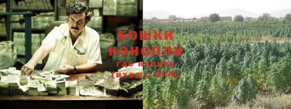 хмурый Корсаков