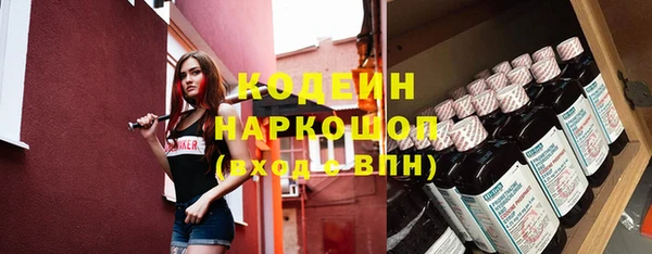 шишки Коряжма