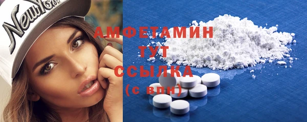шишки Коряжма