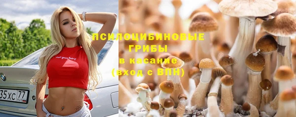 хмурый Корсаков