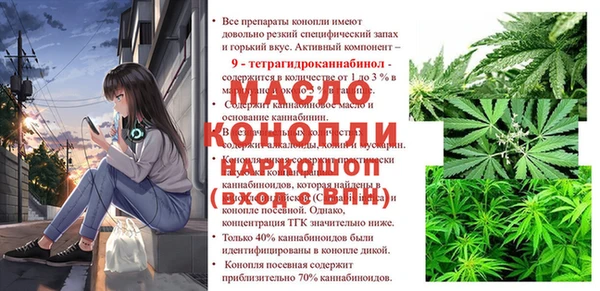 хмурый Корсаков