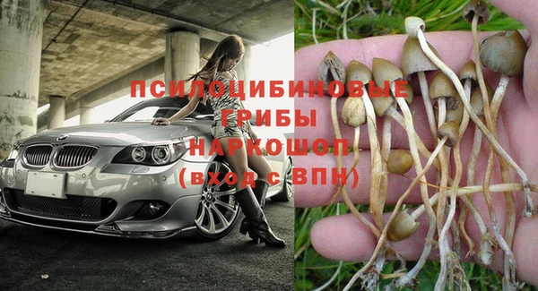 хмурый Корсаков